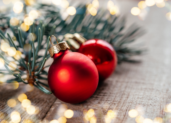 Bestellinfos für die Weihnachtszeit und Weihnachtsgrüße  - Bestellinfos für die Weihnachtszeit und Weihnachtsgrüße 