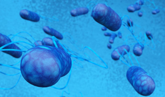 Blasenentzündung Mann E-coli Bakterien