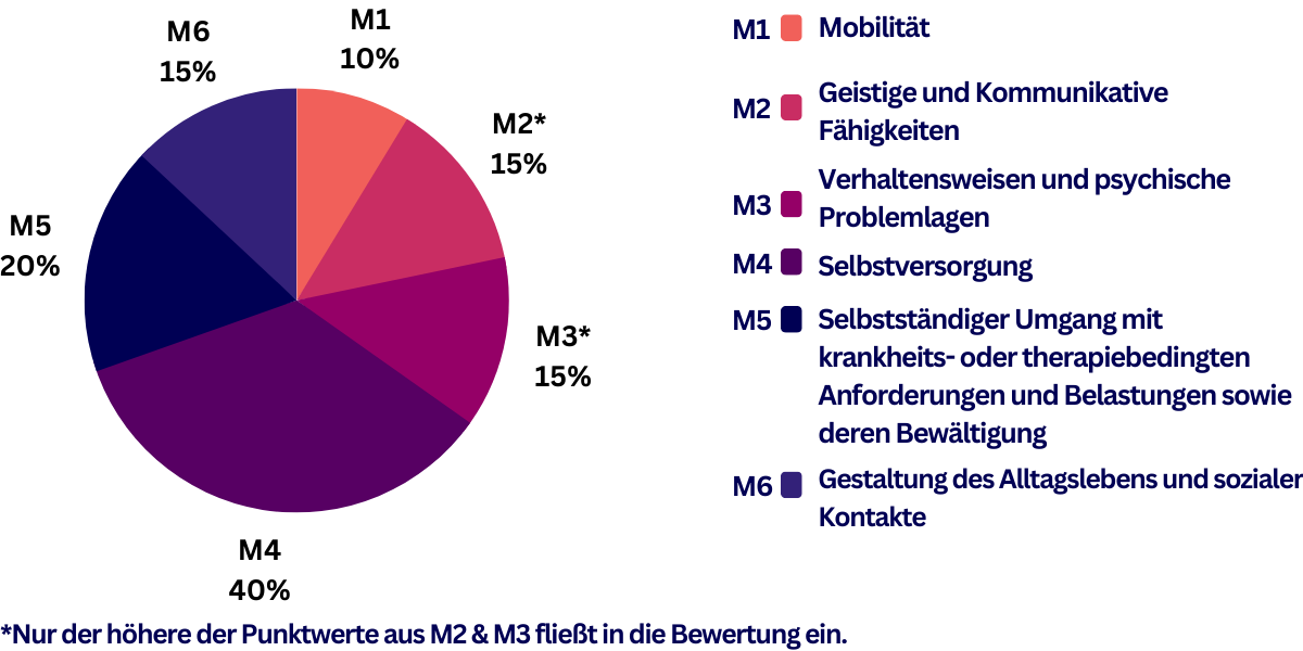 6 Module, die bei der Beurteilung für einen Pflegegrad wichtig sind und deren Gewichtung