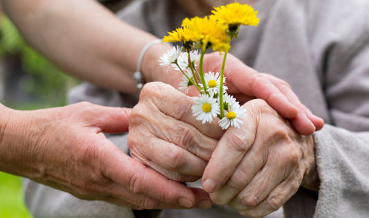Pflegende Hände - Seniorin mit Wiesenblumen 
