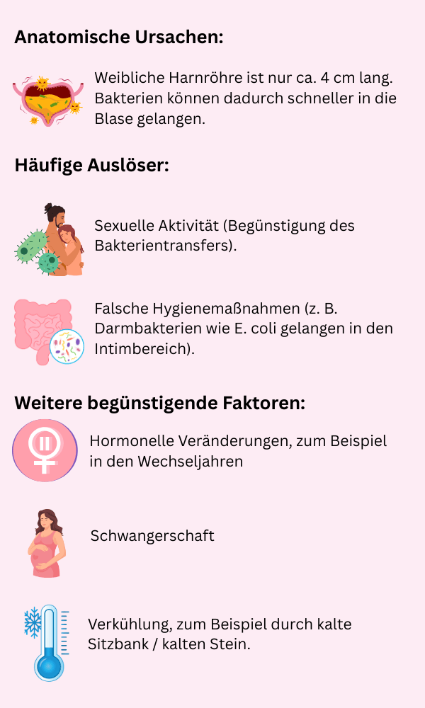 Grafik Ursachen Blasenentzündung Frauen