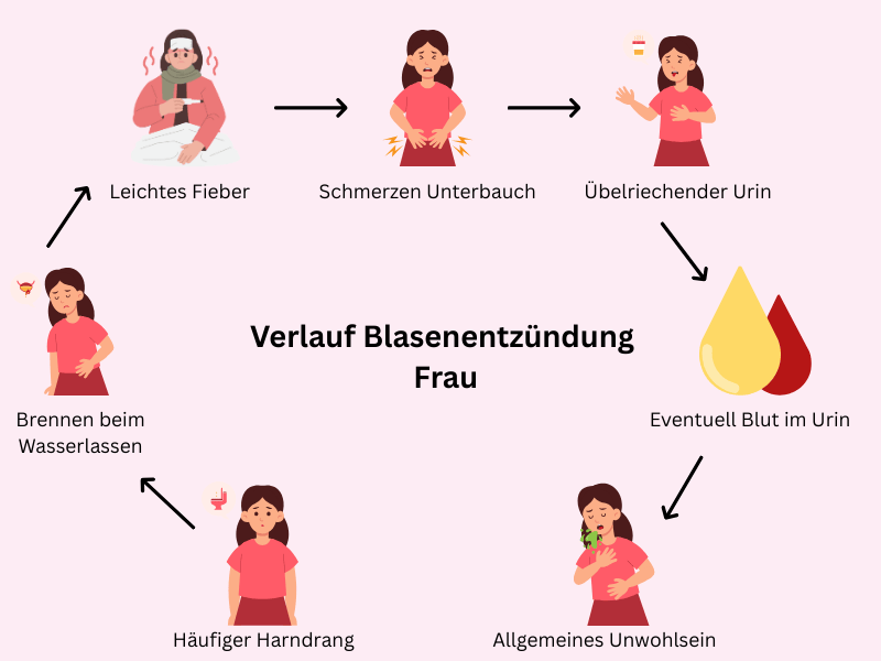 Dauer / Verlauf Blasenentzündung Frau