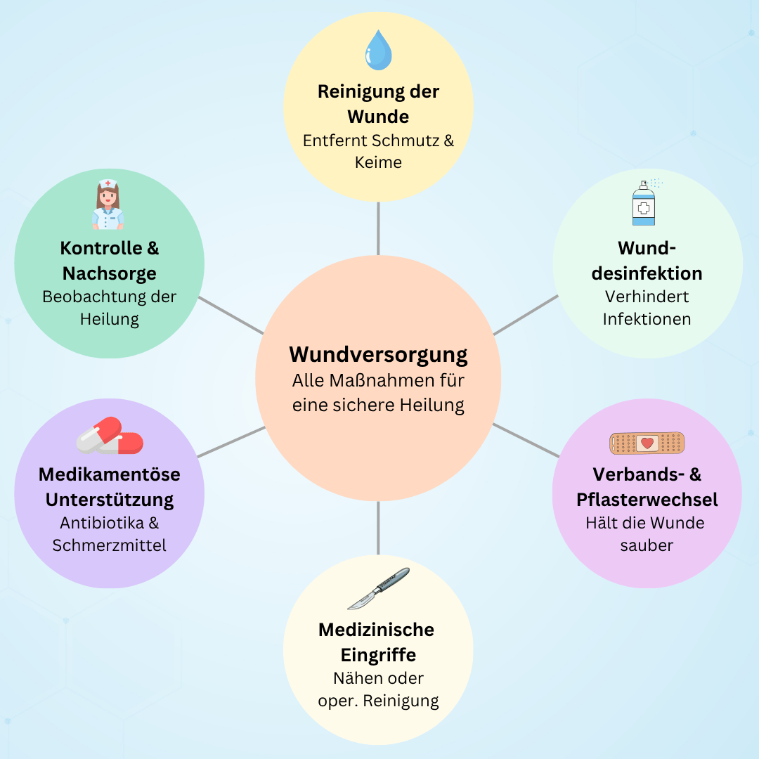 Aspekte der Wundversorgung Grafik