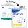 MoliCare Pad 3 Tropfen