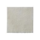Biatain Alginate steril 10 x 10 cm (10 Stk)